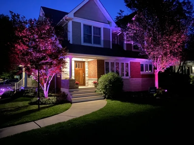 Home exterior at night with trees uplit in pink landscape lighting